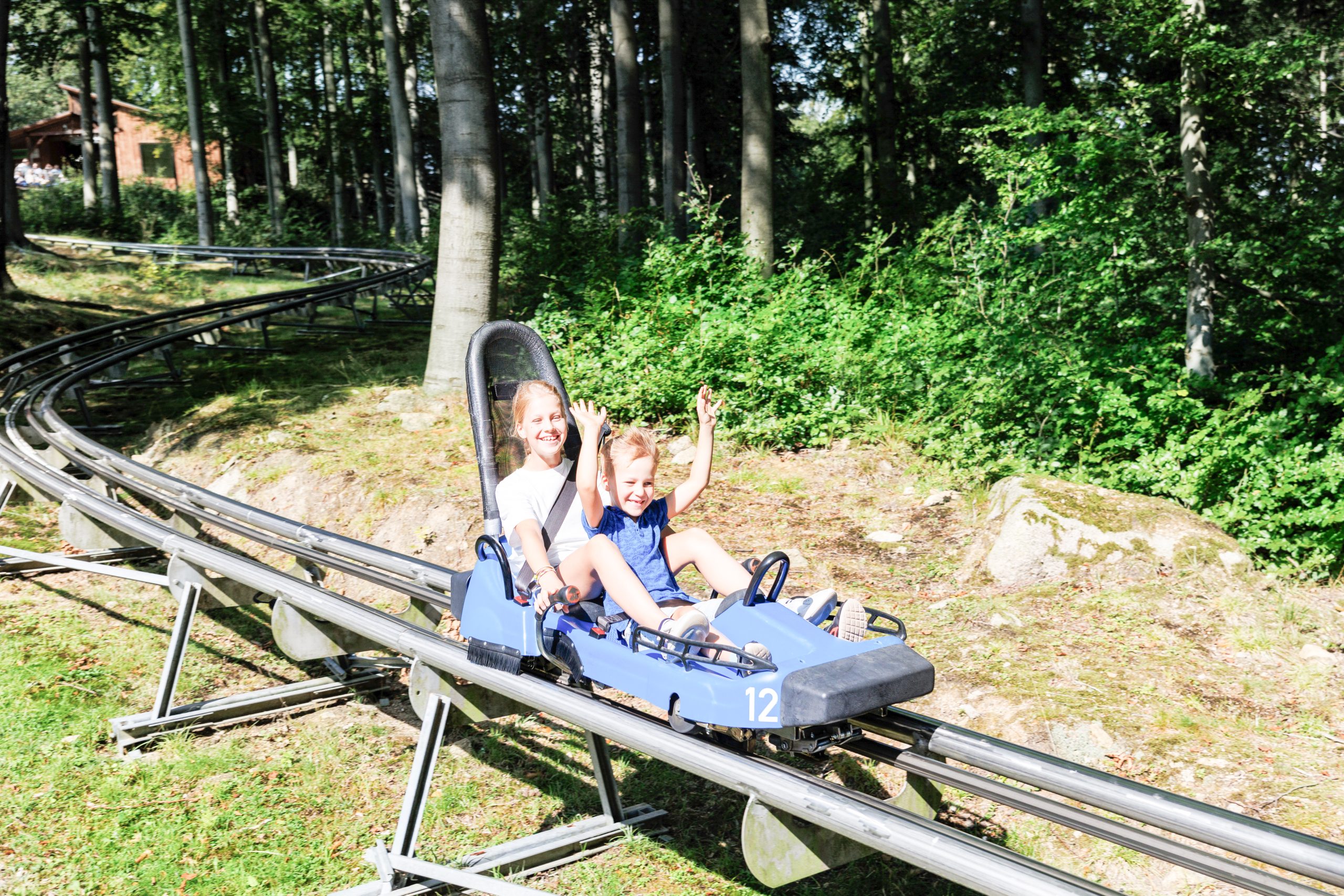 Pair of cute laughing kids enjoy have fun riding alpine roller coaster cart together at Harz nature park on sunny holidays summer day. Children summer outdoors travel active sports adventure.