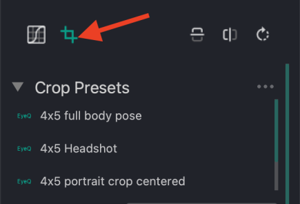 auto crop section