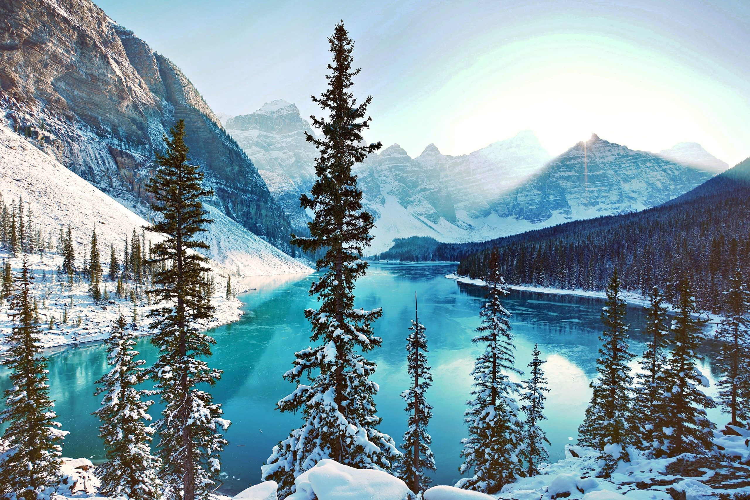 Letter From the President 2025